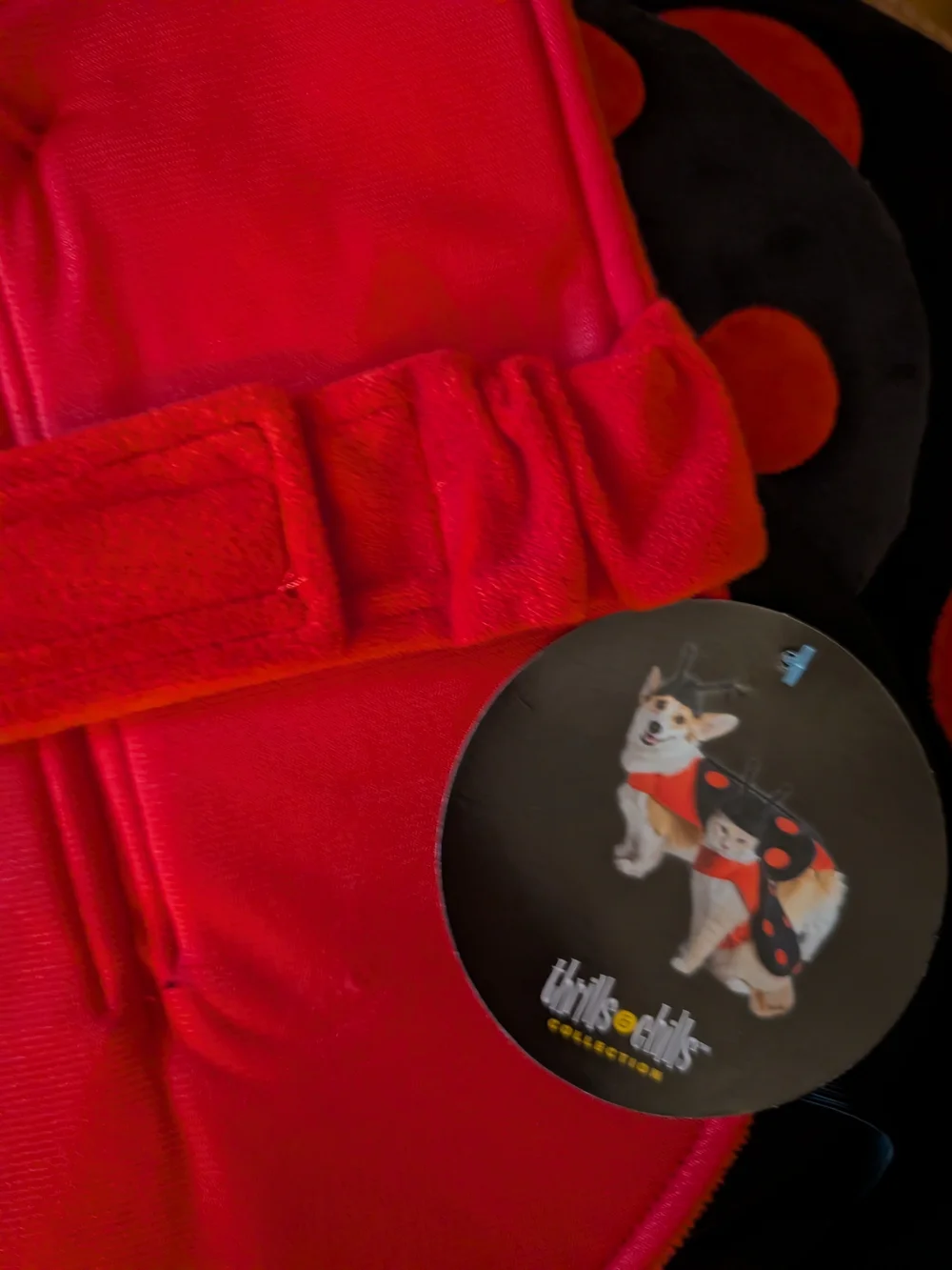 NWT Ladybug Pet Halloween Costumes